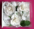 Roses blanches